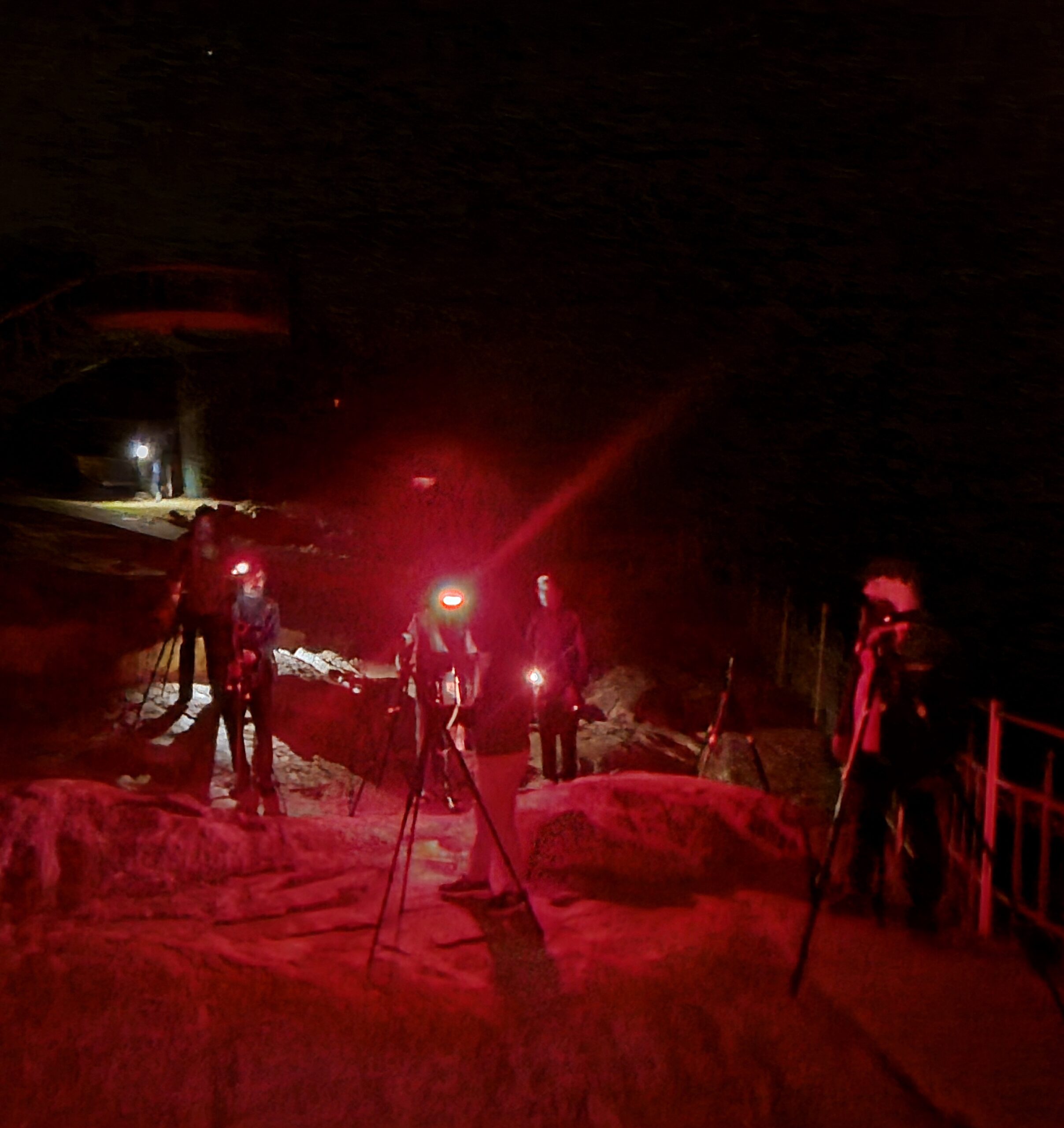 Copy of 20240310_041008