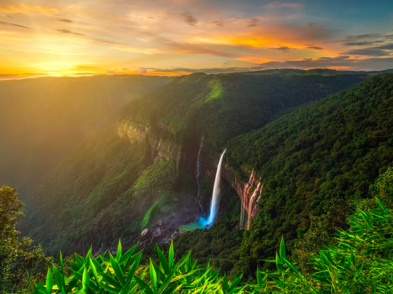 Screen Shot 2026-04-08 at 11.25.43 AM