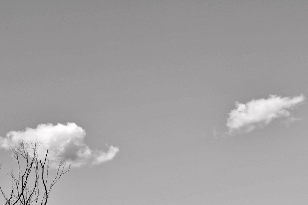 Thirsty cloud By Prashant Godbole