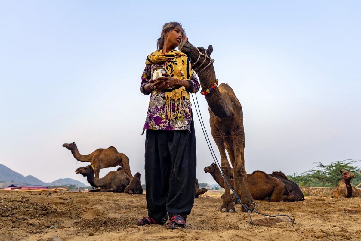 ©Dheeraj Paul-3