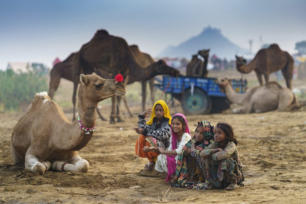 ©Dheeraj Paul-4